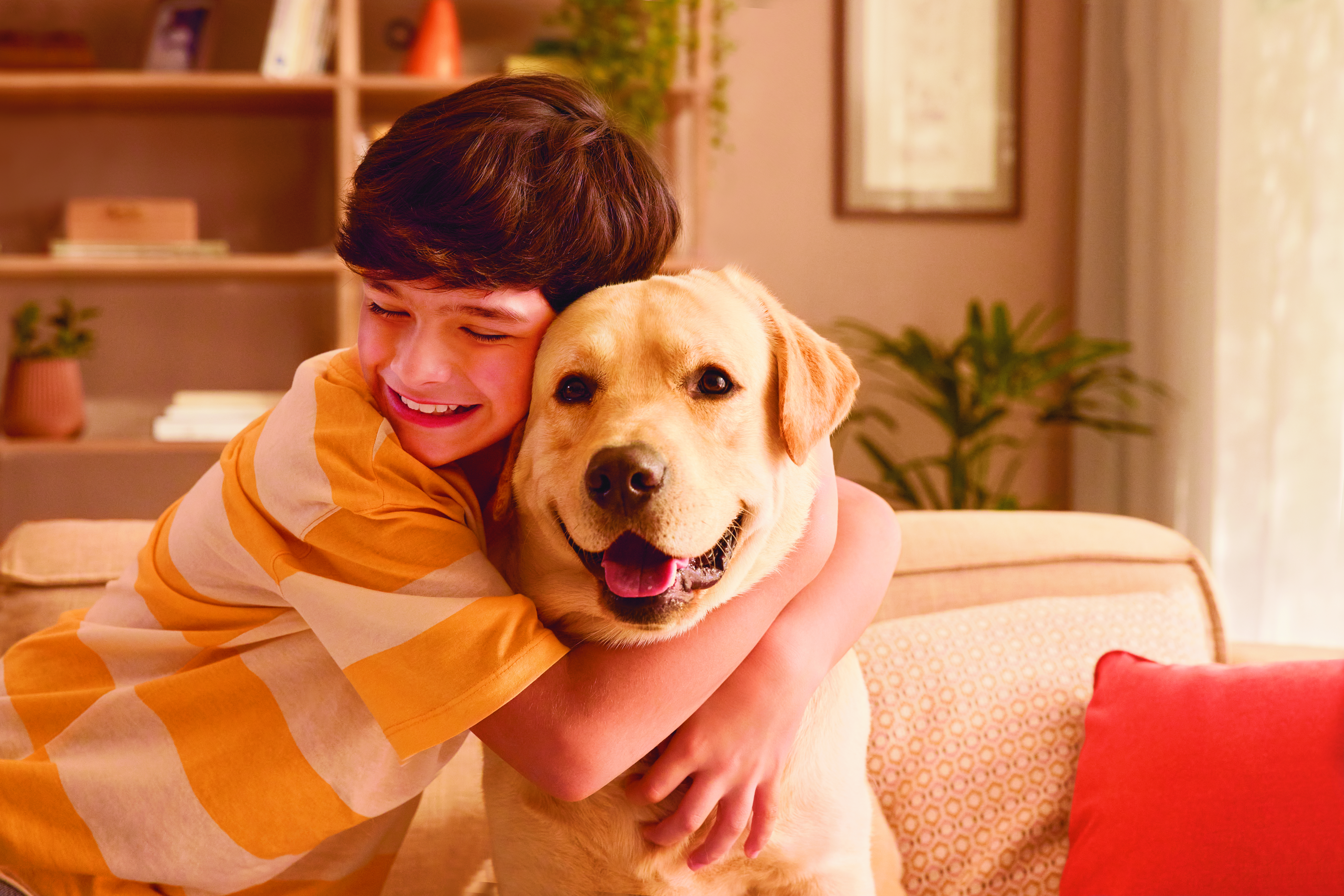 Zecche e pulci nel cane: come difenderlo da possibili malattie